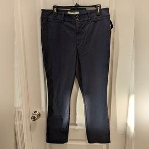 Anthropologie Skinny Navy Chinos, Sz 14